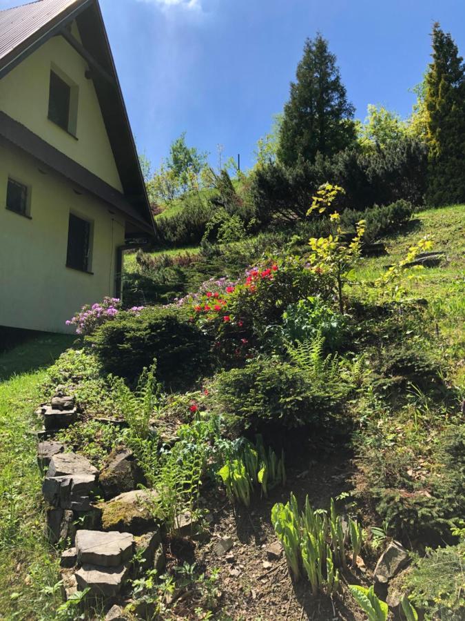 Mountain Cottage Lubomierz Lubomierz  Zewnętrze zdjęcie