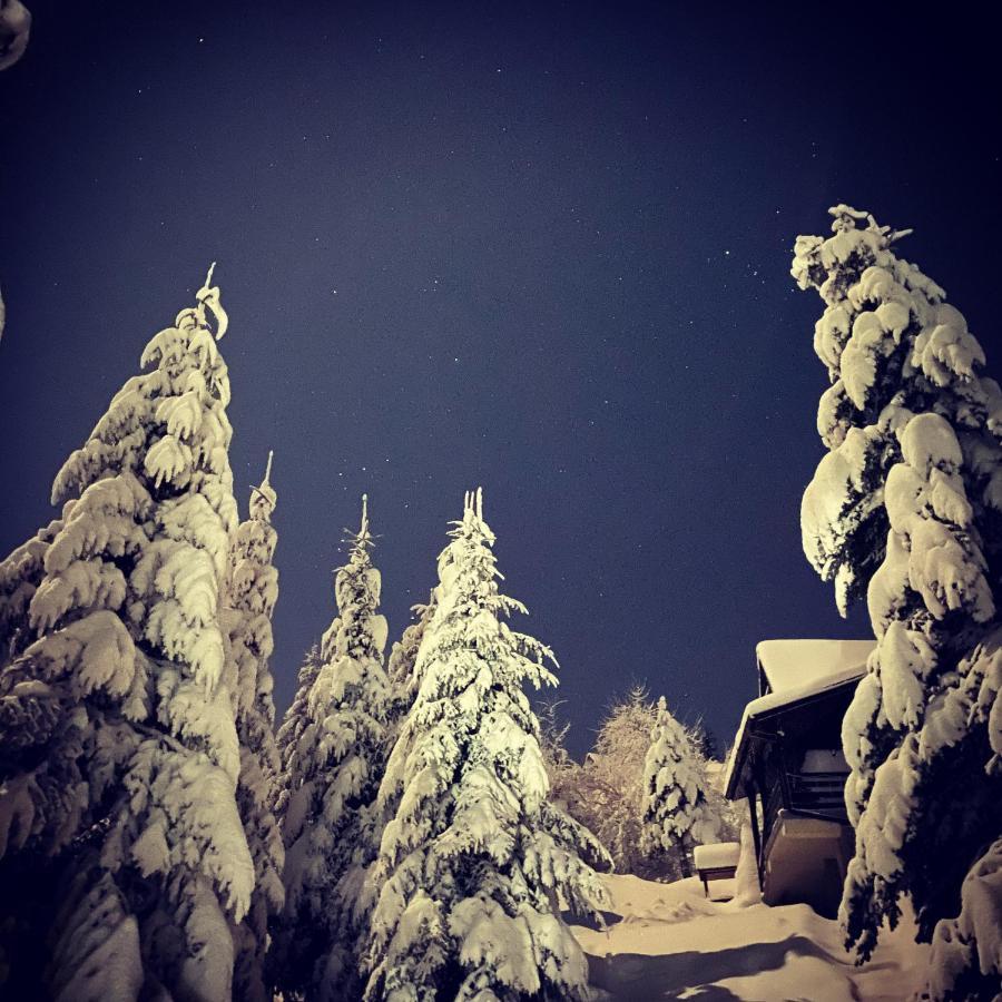 Mountain Cottage Lubomierz Lubomierz  Zewnętrze zdjęcie