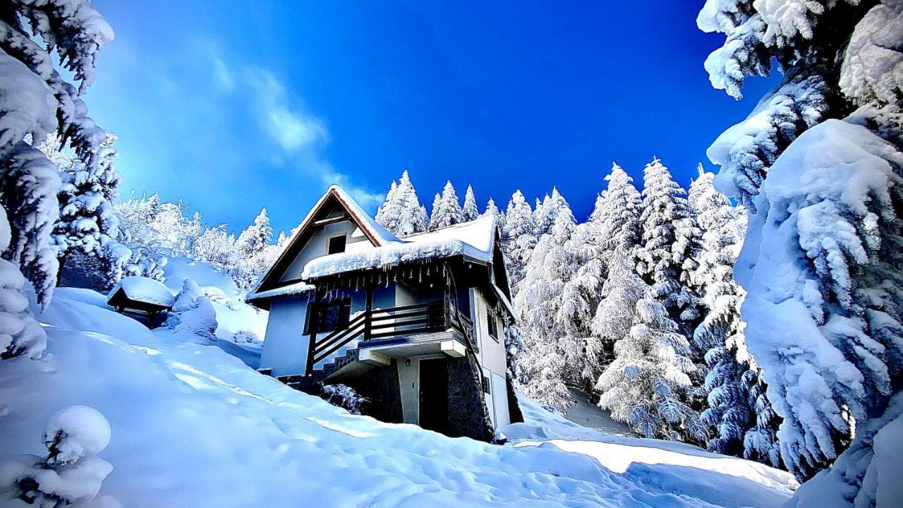 Mountain Cottage Lubomierz Lubomierz  Zewnętrze zdjęcie